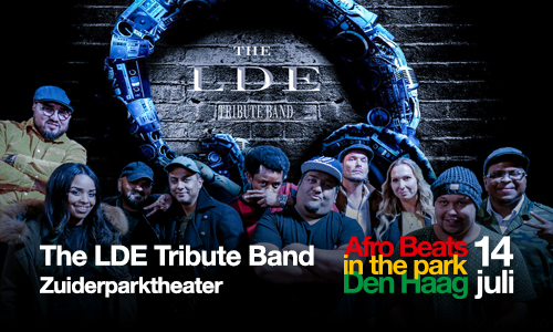 the lde tribute band img 1